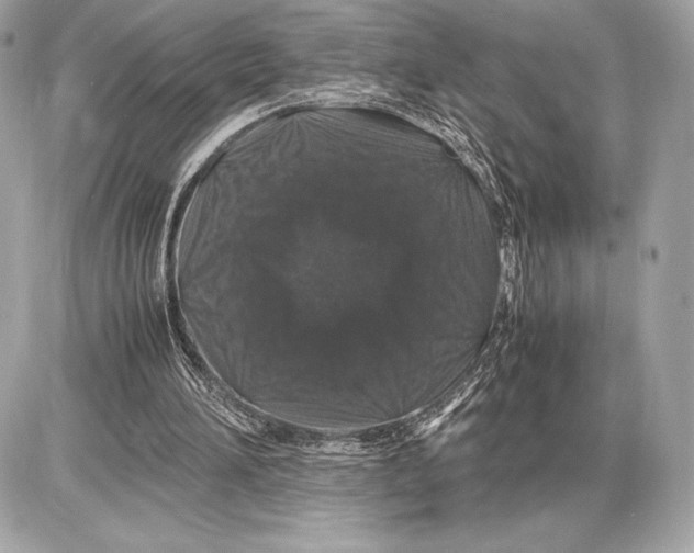 X0000085840196200704091732