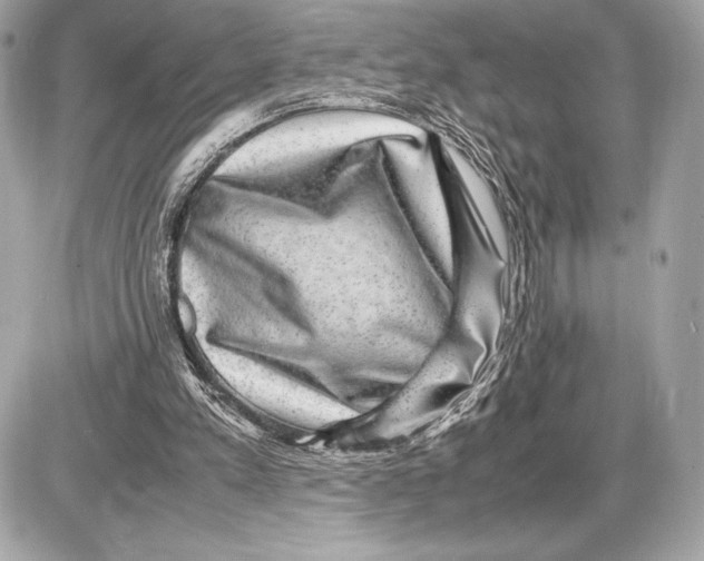 X0000085840197200704091732