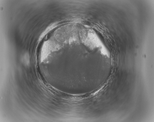 X0000085840198200704091732