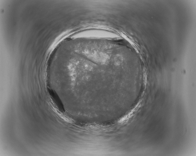 X0000085840199200704091732