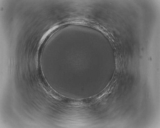 X0000085840200200704091732