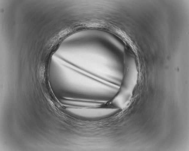 X0000085840201200704091732