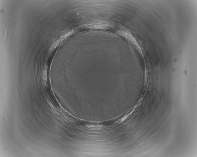 X0000085840202200704091732