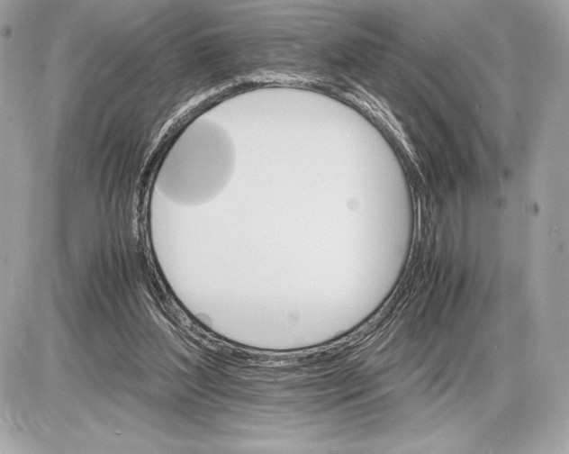 X0000085840204200704091732