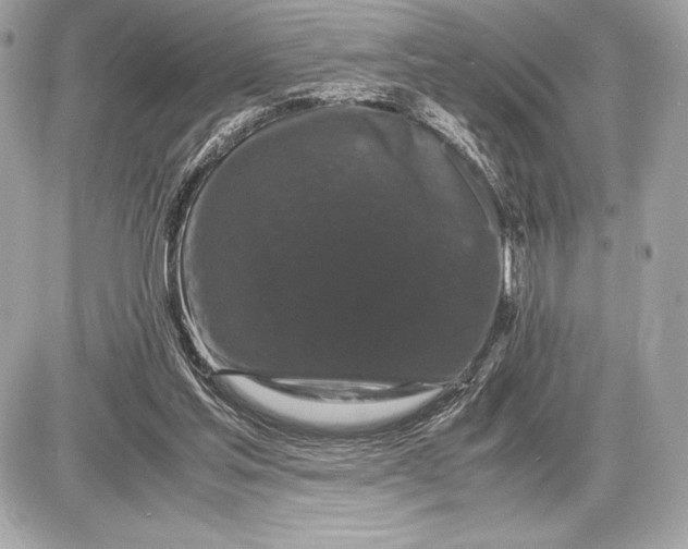 X0000085840205200704091732