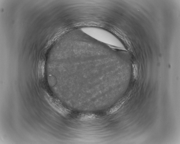 X0000085840206200704091732