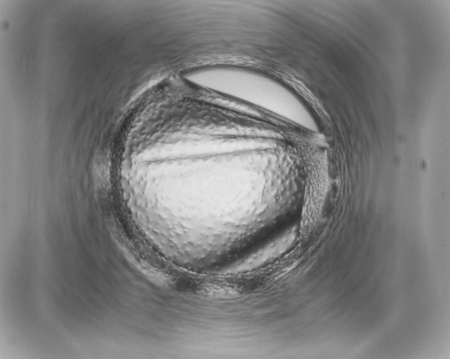 X0000085840207200704091732