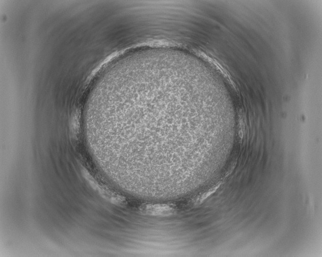 X0000085840208200704091732