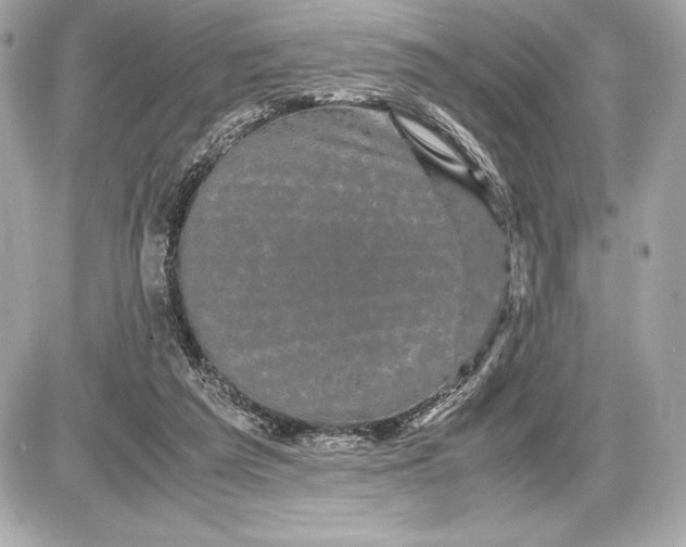 X0000085840209200704091732