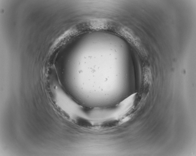 X0000085840211200704091732