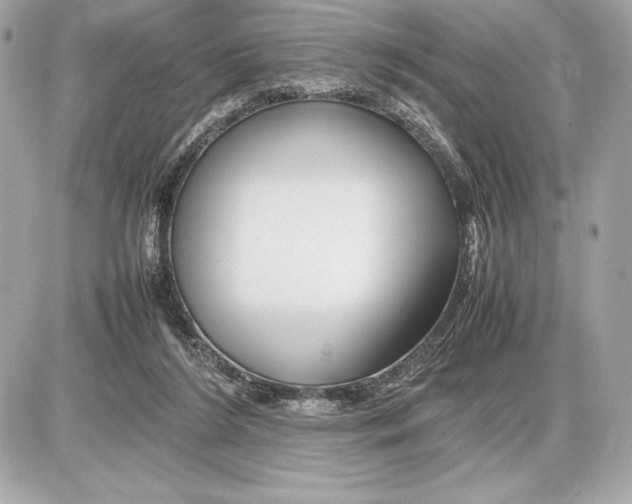 X0000085840212200704091732