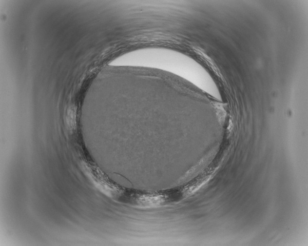 X0000085840213200704091732