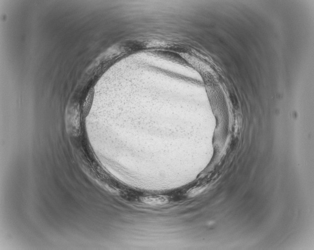 X0000085840215200704091732