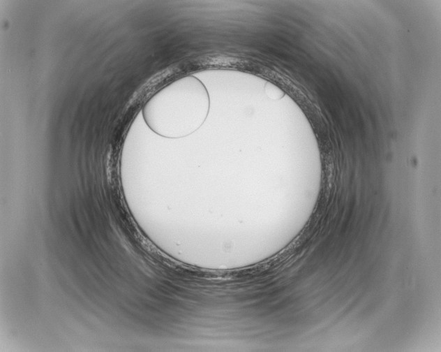 X0000085840216200704091732