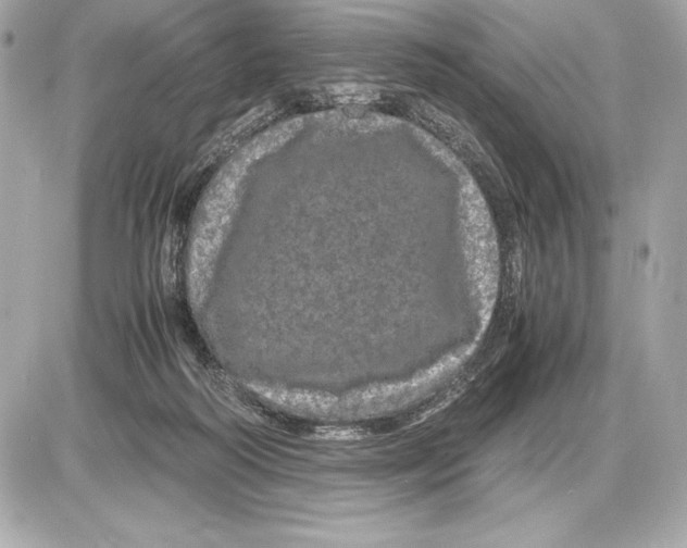 X0000085840218200704091732