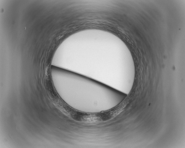 X0000085840219200704091732