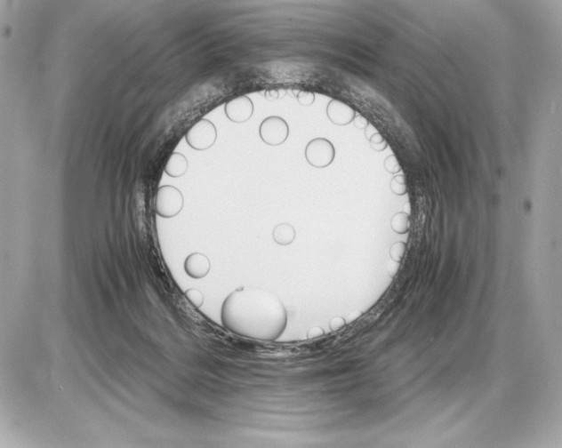 X0000085840220200704091732