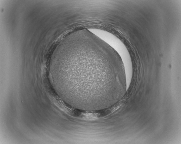 X0000085840221200704091732