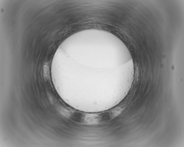 X0000085840222200704091731