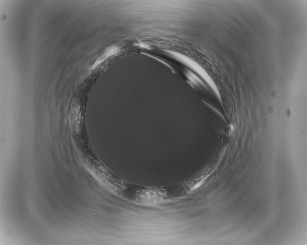 X0000085840223200704091731