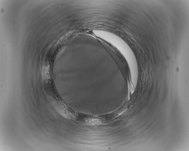 X0000085840224200704091731