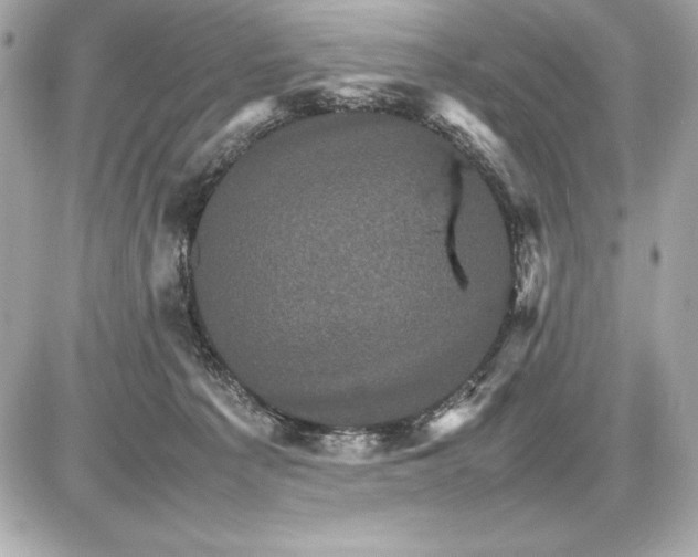 X0000085840225200704091731