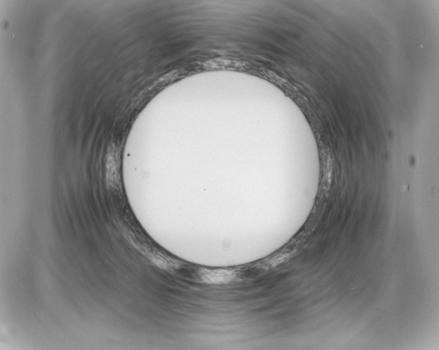 X0000085840226200704091731