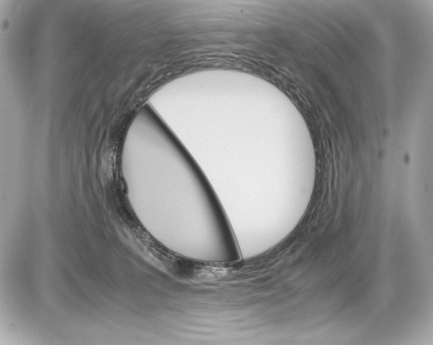 X0000085840227200704091731