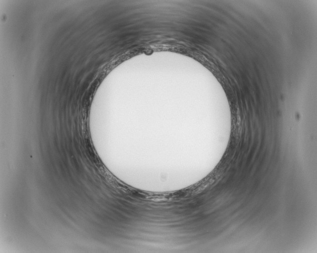 X0000085840228200704091731