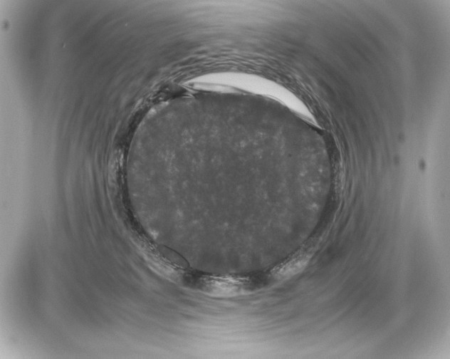 X0000085840229200704091731