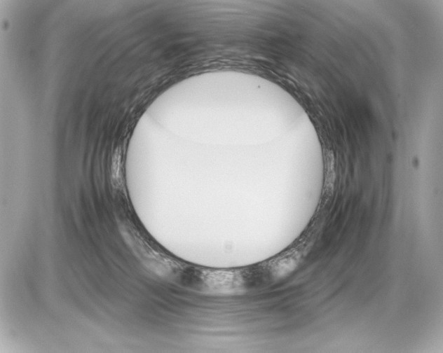 X0000085840230200704091731