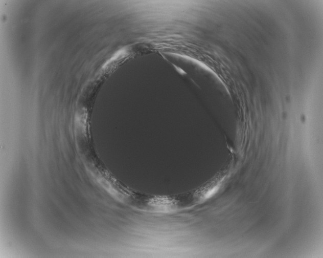 X0000085840231200704091731