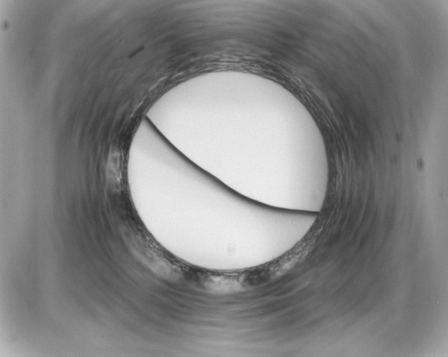 X0000085840232200704091731