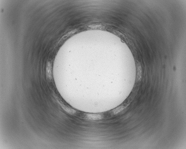 X0000085840234200704091731