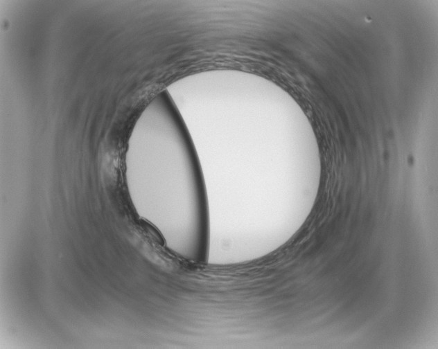 X0000085840235200704091731