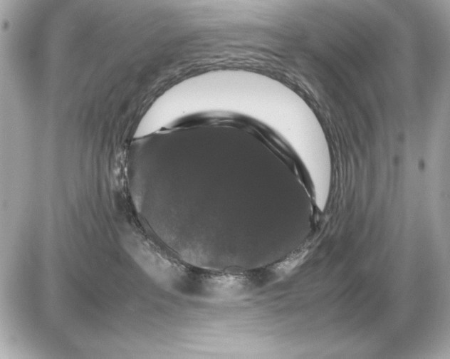 X0000085840237200704091731