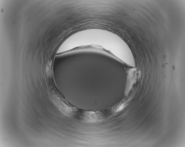 X0000085840239200704091731