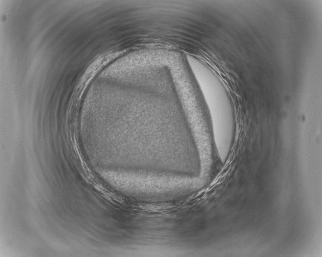 X0000085840241200704091730