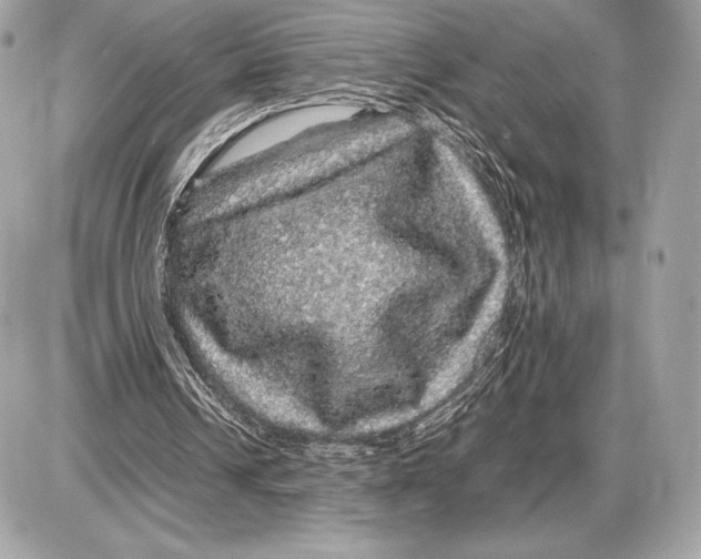 X0000085840242200704091730