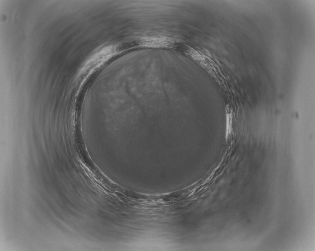 X0000085840243200704091730