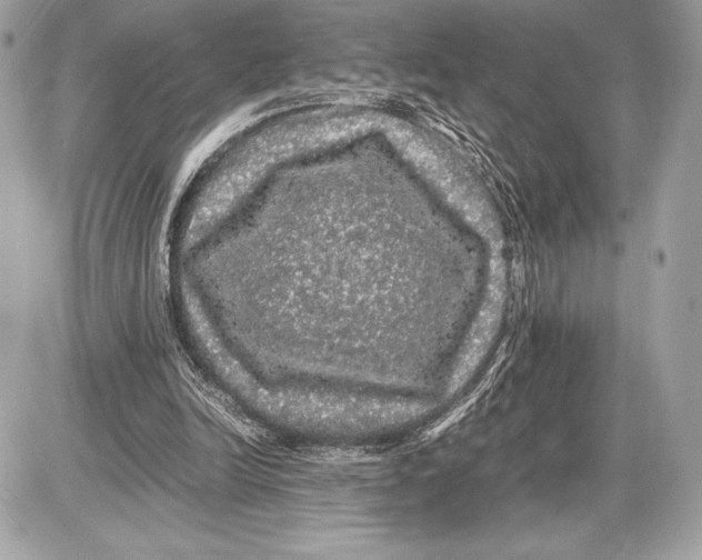 X0000085840246200704091730