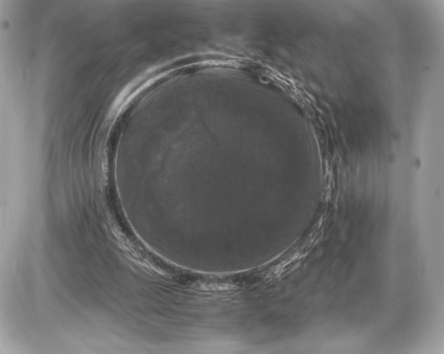 X0000085840247200704091731