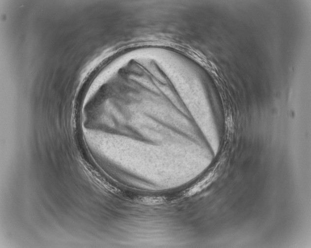 X0000085840248200704091731