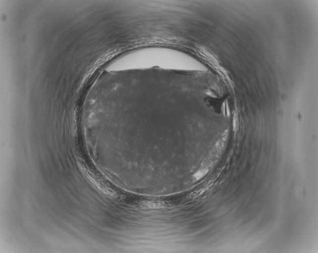 X0000085840250200704091731