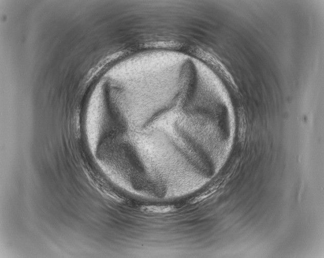 X0000085840251200704091731