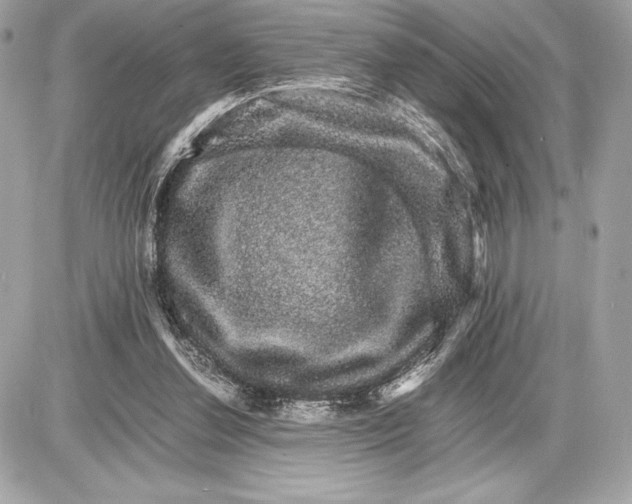 X0000085840252200704091731