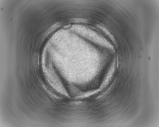 X0000085840253200704091731