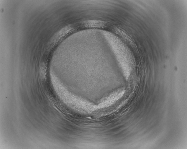 X0000085840255200704091731