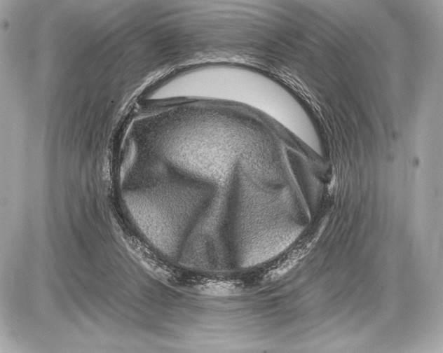 X0000085840256200704091731