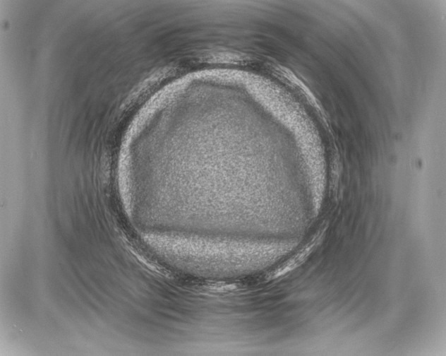 X0000085840257200704091731